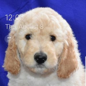 Meet your Posher, Jeff